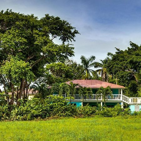 The Sea Glass Inn Placencia Экстерьер фото