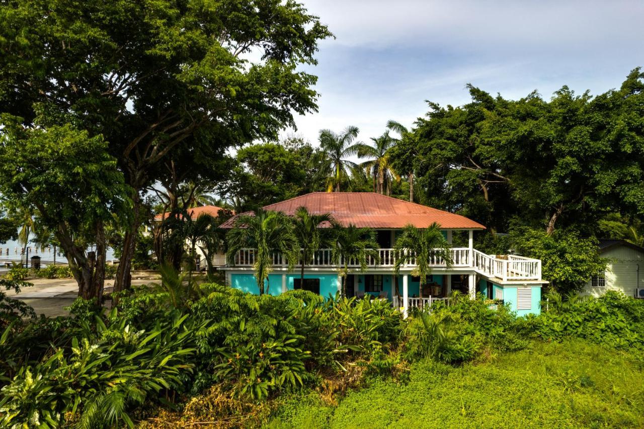 The Sea Glass Inn Placencia Экстерьер фото