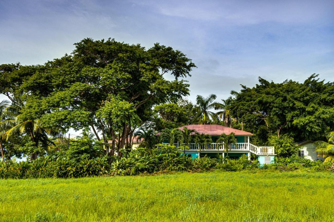 The Sea Glass Inn Placencia Экстерьер фото