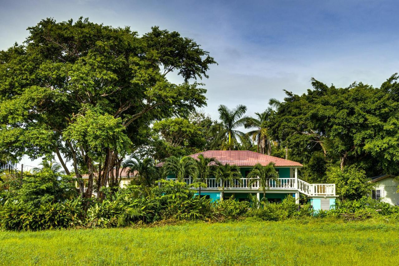 The Sea Glass Inn Placencia Экстерьер фото